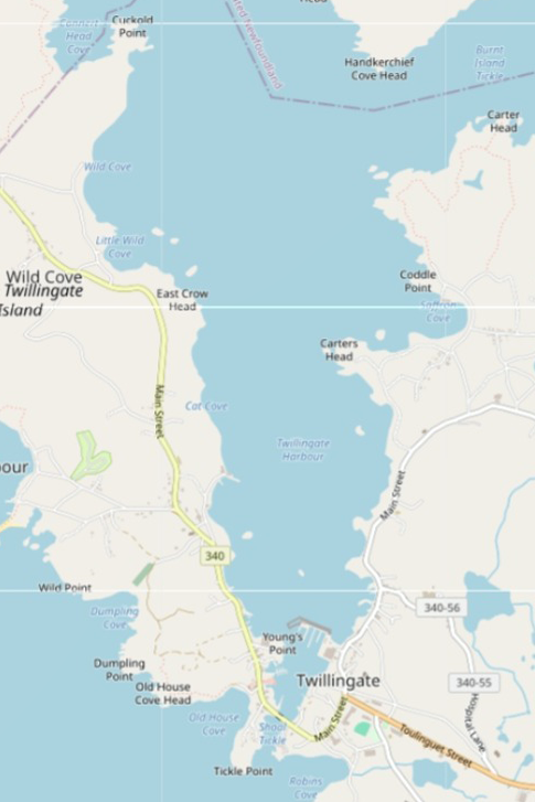 Caricature map of Upper Jenkins' Cove (vertical orientation).