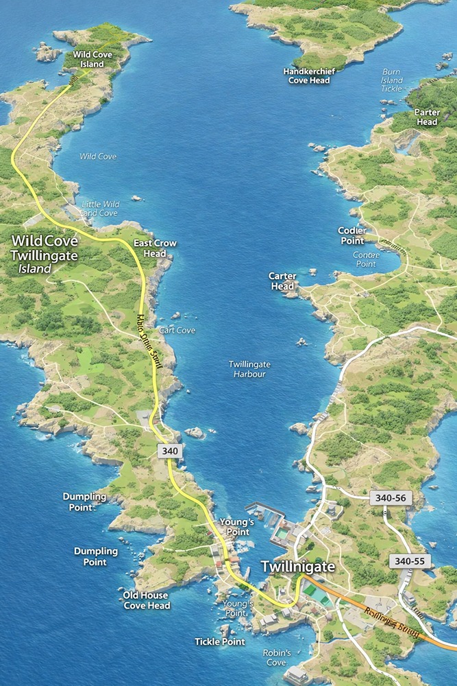 Map of Twillingate Harbour (vertical orientation).