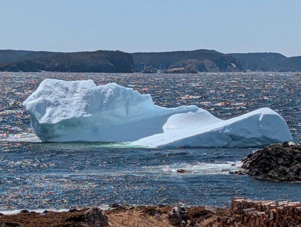 Bluff Head Cove Iceberg