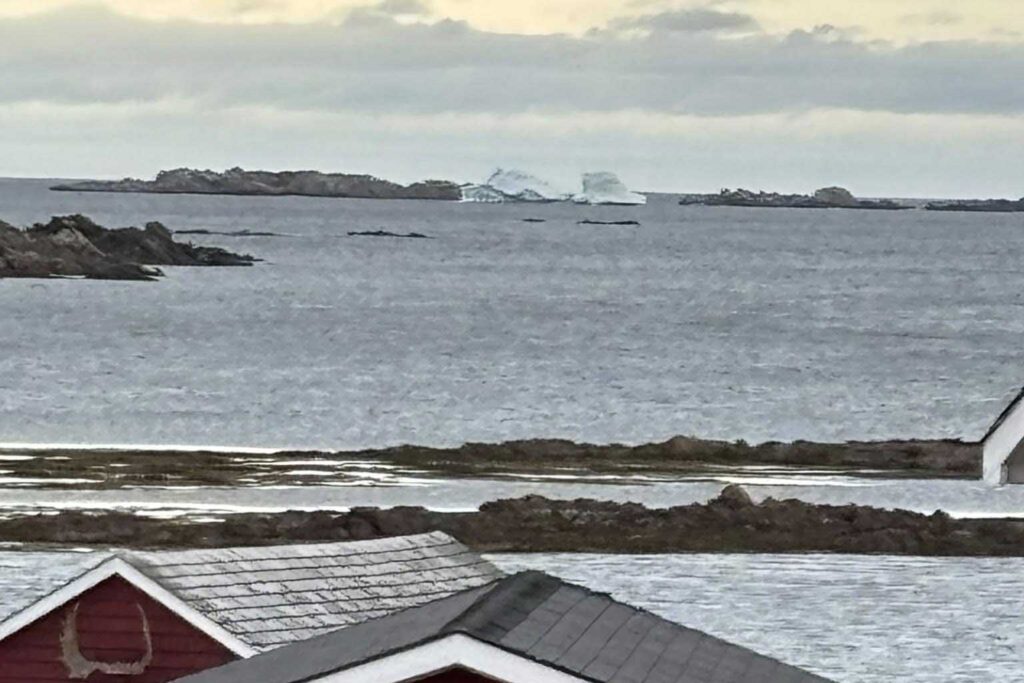 Durrell Iceberg