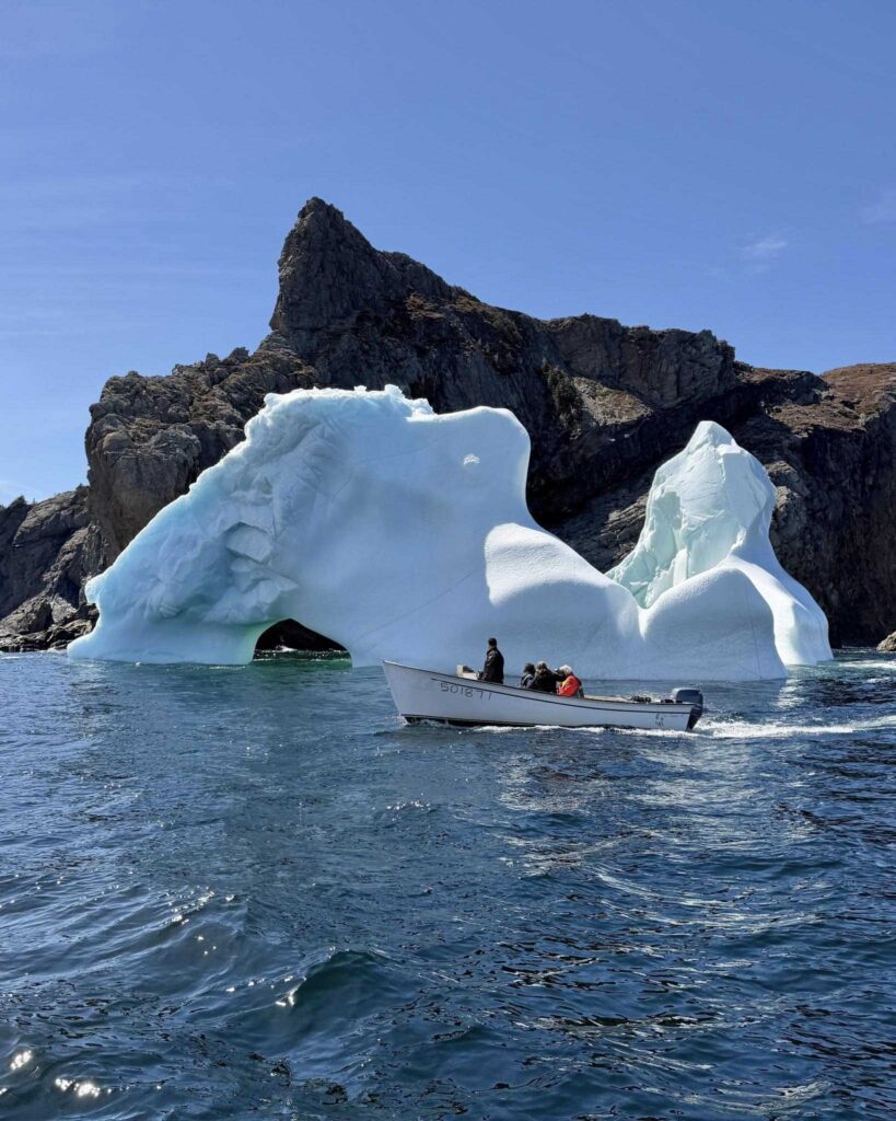 French Head Iceberg