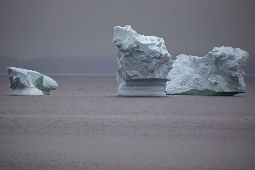Tizzard's Harbour Iceberg