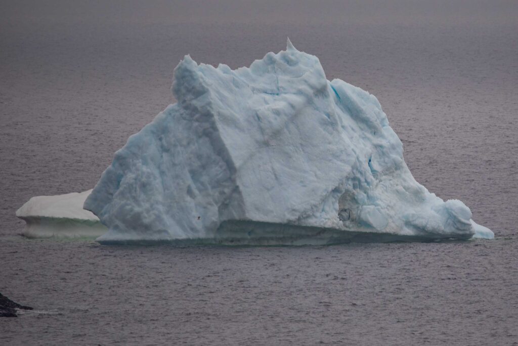 Spiller's Cove Iceberg
